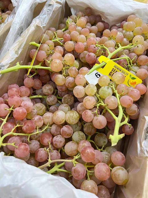 智利荔枝香葡萄 商品图2