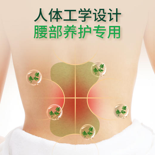 艾草腰椎贴20贴/盒 艾灸腰椎暖贴 商品图1