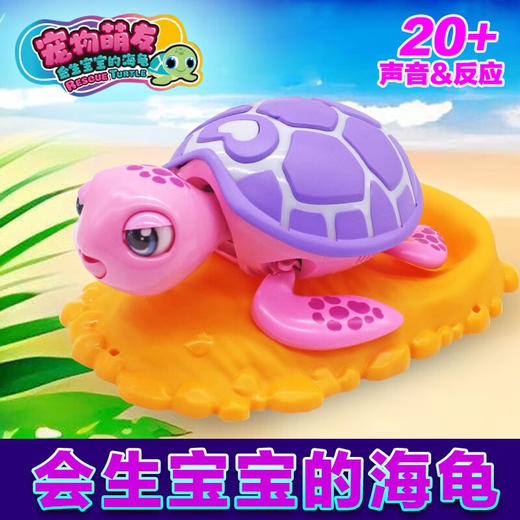 宠物萌友SIL-88634-会生宝宝的海龟(粉色) 商品图2