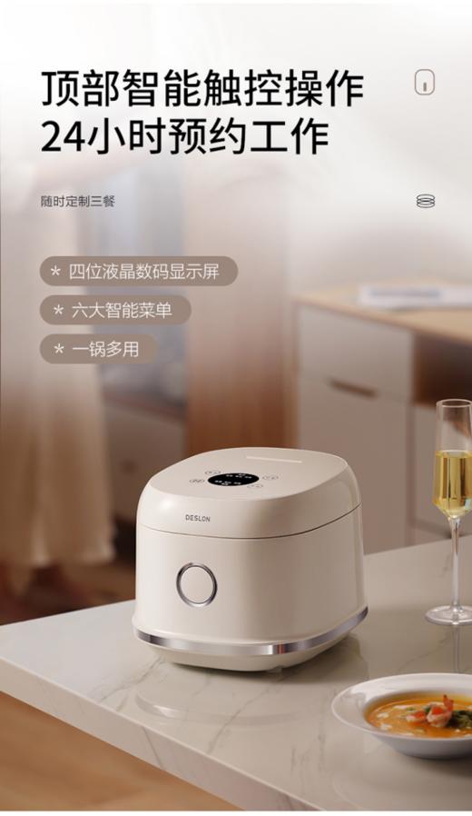 🔆【德世朗DDQ-FB505微电脑电饭煲】，简单操作😎 触屏操作+3L大容量👏+智能预约+600w功率+快速加热+🎐智能控温焖煮 💥让做饭更容易，一键直接搞定 商品图1