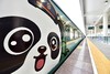 2025疆域万里行 熊猫专列 商品缩略图0