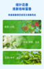 【4.5】水卫士浴室清洁剂500g*3 商品缩略图10