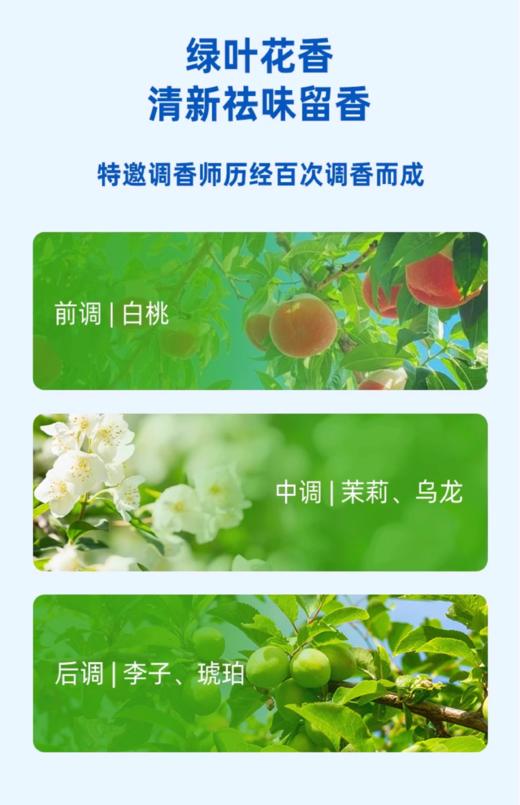 【4.5】水卫士浴室清洁剂500g*3 商品图10