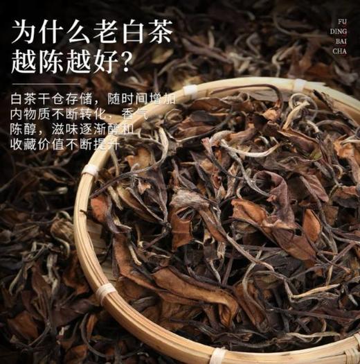 🔥限量尖货❗️库存太少❗️2018年收藏级老白茶【朴大师圆罐福鼎老白茶】🏆 🔻“一年茶、三年药、七年宝”秒杀价79💰买一送一到手两大罐‼️ 商品图3