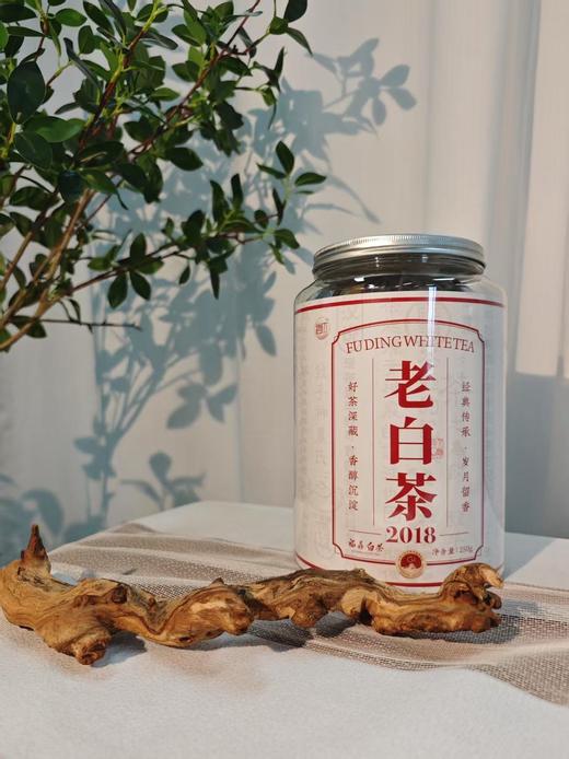 🔥限量尖货❗️库存太少❗️2018年收藏级老白茶【朴大师圆罐福鼎老白茶】🏆 🔻“一年茶、三年药、七年宝”秒杀价79💰买一送一到手两大罐‼️ 商品图1