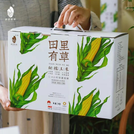 田里有草甜糯玉米真空袋装中通快递包邮下单从长春发货 商品图1