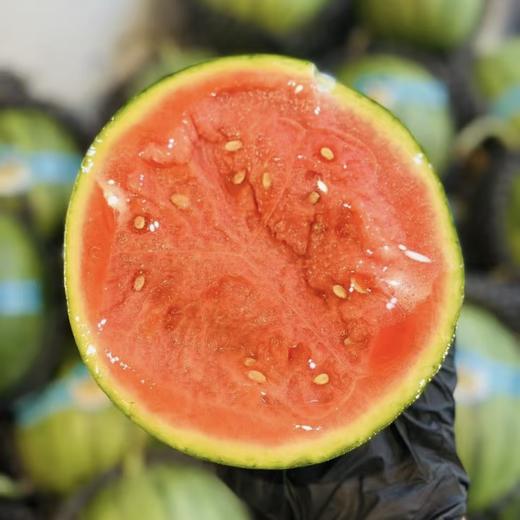 小吊瓜 冰淇淋小西瓜  红肉 商品图1