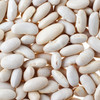 【食品】白腰豆云南农家老品种白芸豆饭豆白豆新豆500g/袋 商品缩略图2