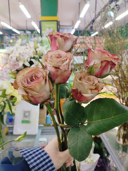 卡布奇诺10支 商品图0