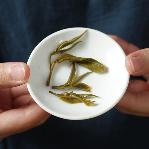 【茶王地系列】元昌号2025年倚邦古树纯料357克生饼 商品图3