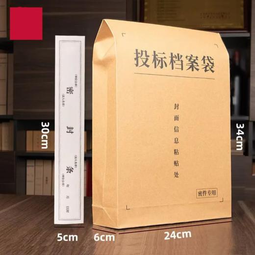 投标档案袋210g 商品图2