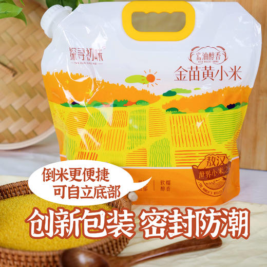 探寻初味-敖汉 金苗黄小米  5斤 商品图1