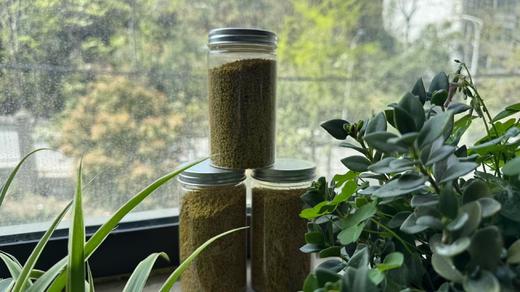 【油菜花粉 三瓶 （每瓶200克 ）男人能量提升的呵护品】 商品图1