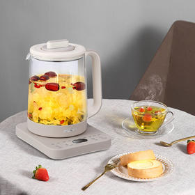 大宇液体加热器（养生壶）DYYS-10H95（仅供济南市区）