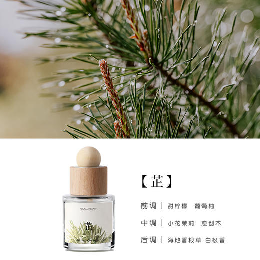 【檀木车载香薰，持久清新！】木质香调檀木车载香薰 持久自然清新 高级厕所座式 车内除味液体香氛-QQ 商品图5