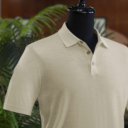 25夏季新款男士纯羊毛/羊绒 POLO衫T恤  多款/多色可选——不退不换 商品图0