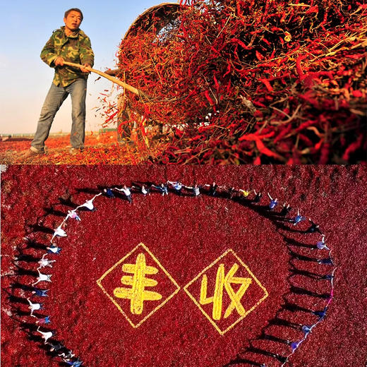 禧安骄·线椒干辣椒500g  5公斤鲜辣椒晒出1公斤干辣椒 商品图3