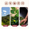 【茶也陶陶】陶陶居陈皮普洱（调味茶）100g，品味古法制茶，享受皮香普洱，回味悠长人生。 商品缩略图2