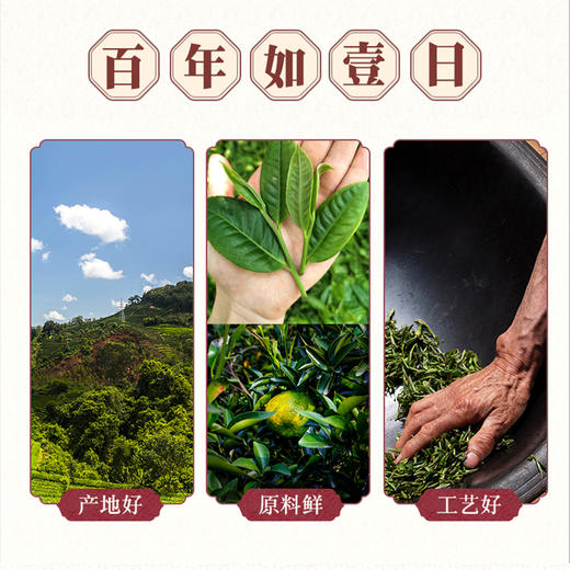 【茶也陶陶】陶陶居陈皮普洱（调味茶）100g，品味古法制茶，享受皮香普洱，回味悠长人生。 商品图2
