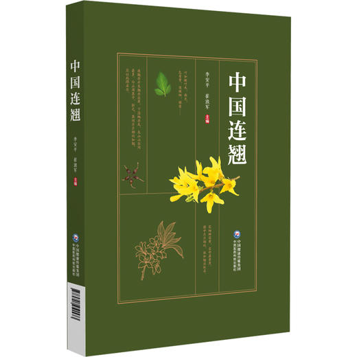 中国连翘 李安平 崔浪军主编 介绍了连翘种质资源特征 易混淆品特征 资源分布和适宜种植区规划 9787521451573中国医药科技出版社 商品图1
