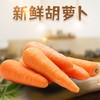 【分仓直发包邮】胡萝卜（带泥）3斤（ 单果约150g） 商品缩略图0