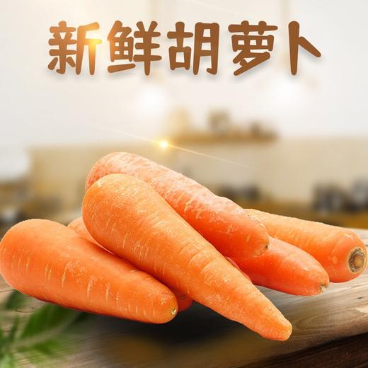 【分仓直发包邮】胡萝卜（带泥）3斤（ 单果约150g） 商品图0