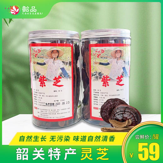 【仁化生态农场直供｜枫树紫芝】深山原生态种植，大水坝水库畔枫木培植、零污染珍品紫芝。 商品图0