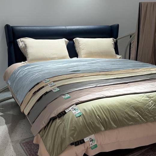 MOONSHALL-贵妇水光蚕丝被 商品图1