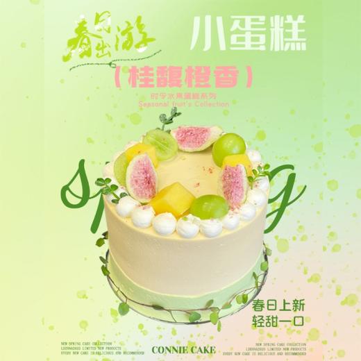 桂馥橙香 商品图0