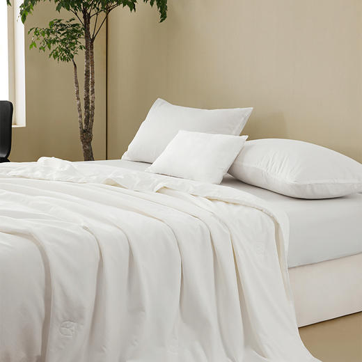 丝享新中式山珍丝蚕丝夏被：雅禾 商品图2