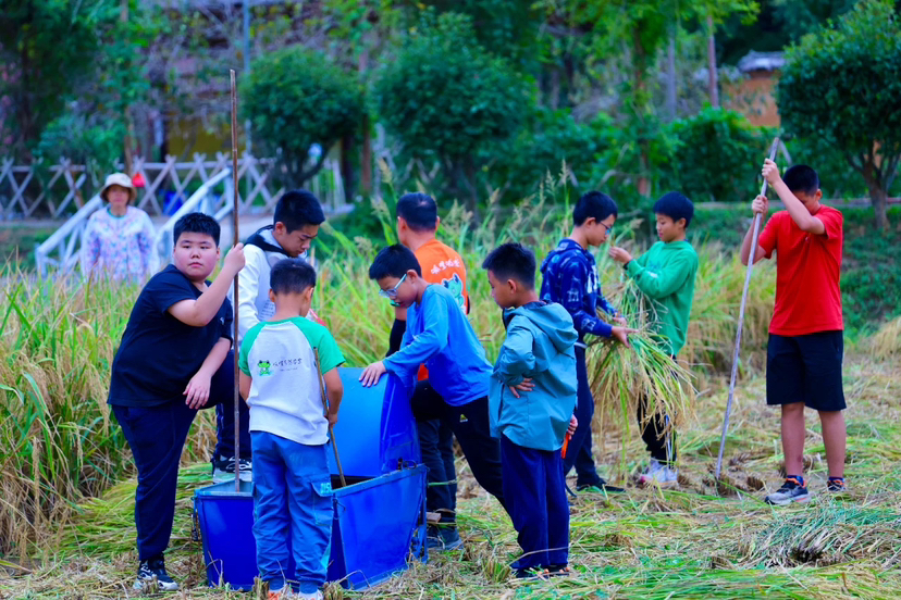 朴愿·水稻课堂2025 收费链接（付款备注孩子姓名）