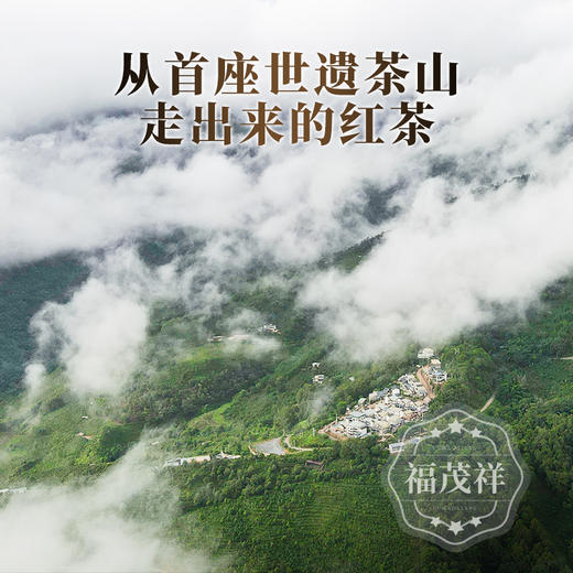 荔枝味红茶【妃子笑】2024年云南普洱茶区景迈古树晒红 传统工艺发酵 200g/饼 商品图1