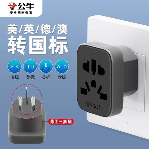 公牛国标转换器插座 插头万能孔插板转换头英欧德美澳标日本韩国香港版境外电器转内地使用 1个 商品图0