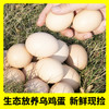 天然叶酸更营养【原种泰和乌鸡蛋】国家地理标志产品 科学精细化饲养 营养丰富 蛋黄细腻 口感软糯 可生食 孕妇宝宝放心食用 商品缩略图1