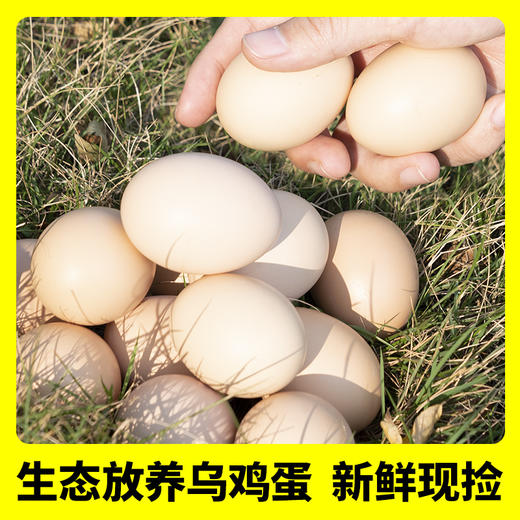 天然叶酸更营养【原种泰和乌鸡蛋】国家地理标志产品 科学精细化饲养 营养丰富 蛋黄细腻 口感软糯 可生食 孕妇宝宝放心食用 商品图1