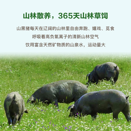 有机猪油｜山林里有机草饲 黑猪油 家用炒菜拌饭烘焙食用动物油 500g 商品图1
