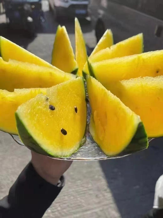阔江小凤西瓜 商品图5