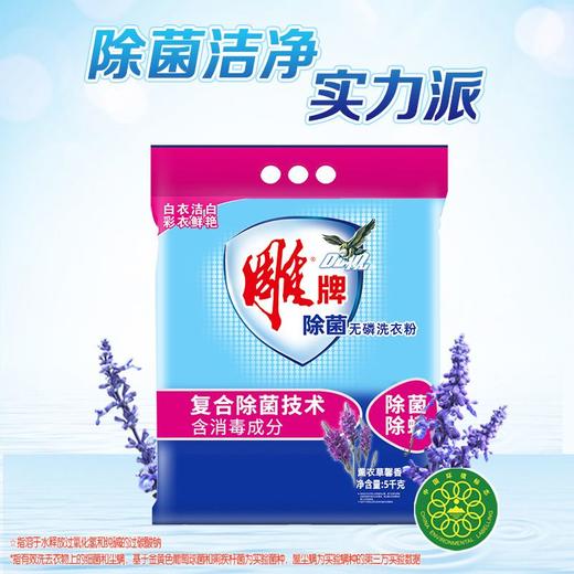 C雕牌5kg除菌无磷洗衣粉 商品图1