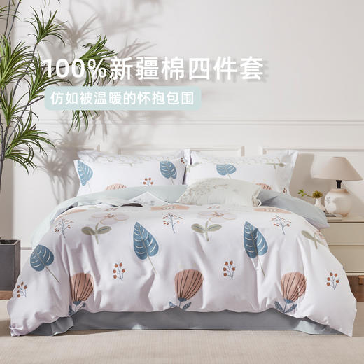 轻语飞扬全棉印花四件套 四季可用 商品图0