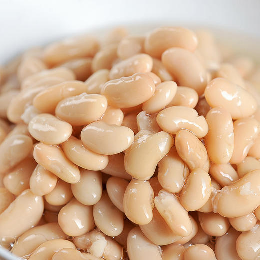 【食品】白腰豆云南农家老品种白芸豆饭豆白豆新豆500g/袋 商品图3