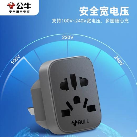 公牛国标转换器插座 插头万能孔插板转换头英欧德美澳标日本韩国香港版境外电器转内地使用 1个 商品图3