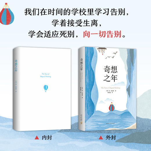 奇想之年 琼·狄迪恩 美国当代标志性作家琼·狄迪恩深情之作 那不勒斯四部作者埃莱娜·费兰 商品图1