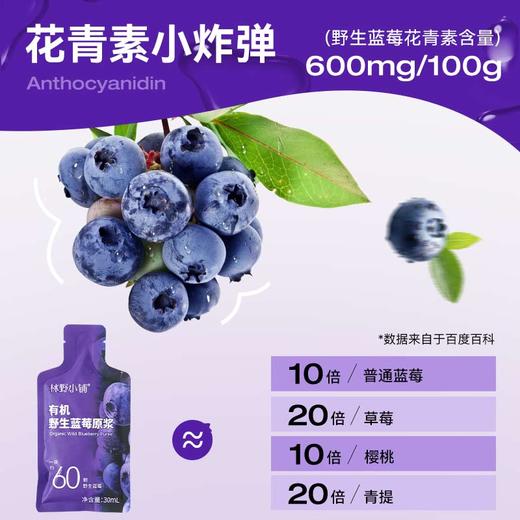 大兴安岭有机野生蓝莓原浆补充花青素100ml*8瓶 商品图3