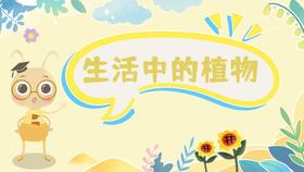 课程五：生活中的植物
