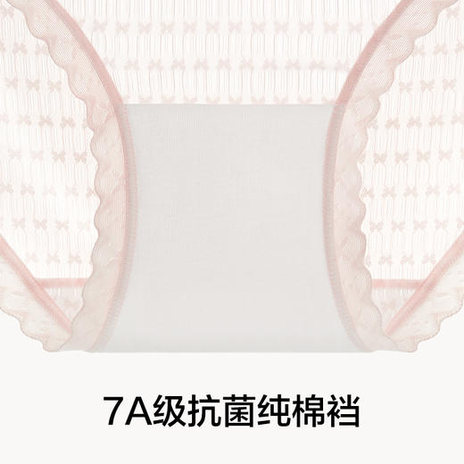 有棵树冰丝中腰纯棉裆女士内裤3条装-U3173 商品图3