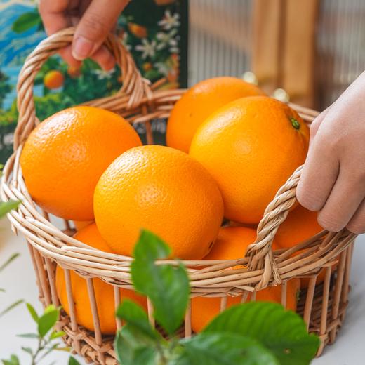 湖北秭归伦晚脐橙8-9斤大果彩箱装【分仓直发，72小时发货，周末节假日不发货】 商品图2