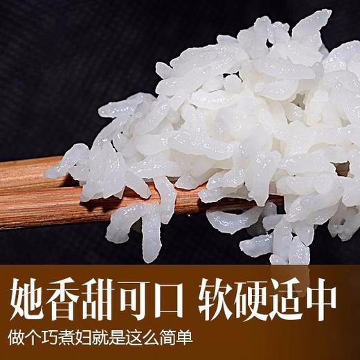 石家庄优选仓库速达，徐府帝稻&有机五常稻花香大米，有机稻花香2号，米饭香气袭人，油光晶莹，绵软劲道，清香回甜，10斤/袋 商品图3