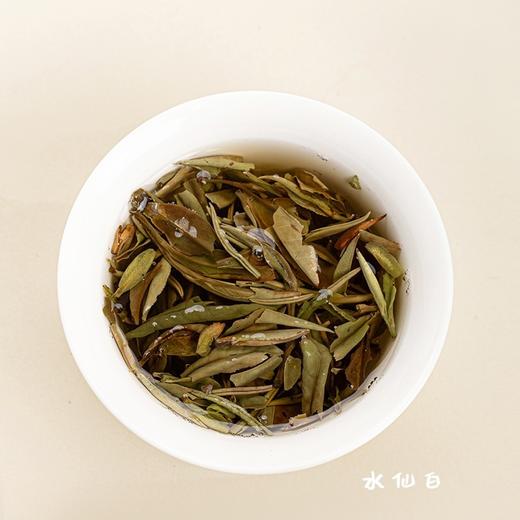 【阅光阴2024年特级】政和白茶云根茶业高端系列/双非遗大师茶/2024年特 级/水仙白/小野白/50g/盒 商品图7