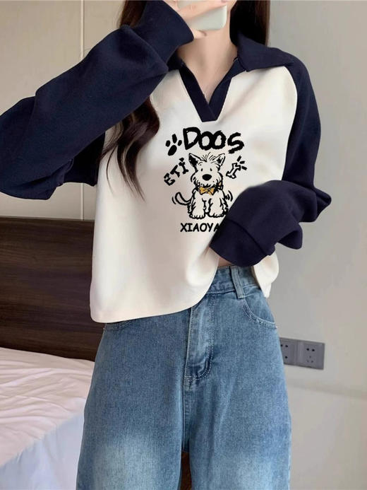 裁缝学苑AQ439插肩袖卫衣纸样女装新款撞色翻领上衣样板版型 商品图3