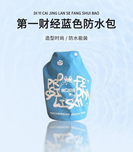 第一财经20周年防水包 商品图0